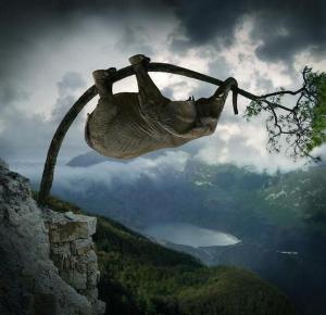 Elephant core training