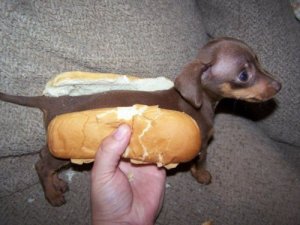 Organic Hot Dog