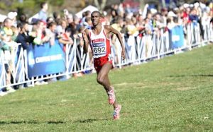 MohammedAhmedCourtesyStCatharinesStandard2013Jan22