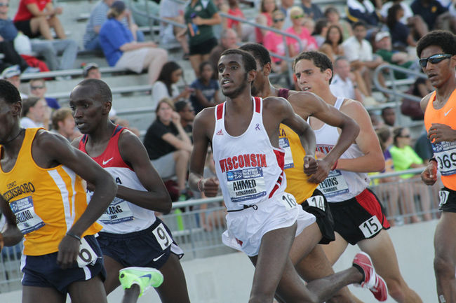 MoAhmedRunningBadger